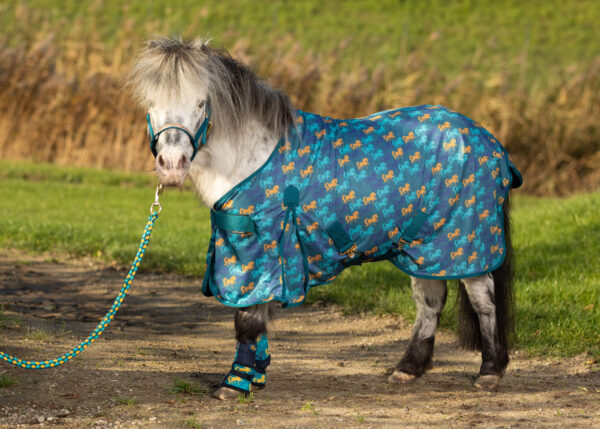 Sea Breeze Pony